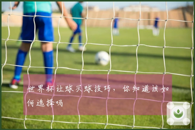 世界杯让球买球技巧，你知道该如何选择吗