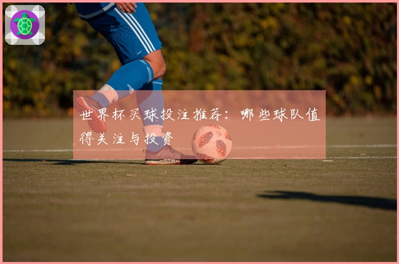 世界杯买球投注推荐:哪些球队值得关注与投资