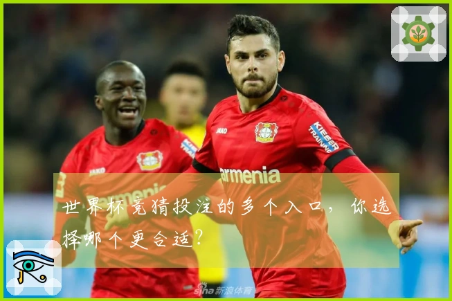 世界杯竞猜投注的多个入口，你选择哪个更合适？