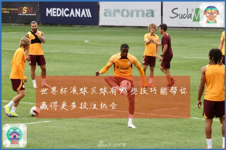 世界杯滚球买球有哪些技巧能帮你赢得更多投注机会